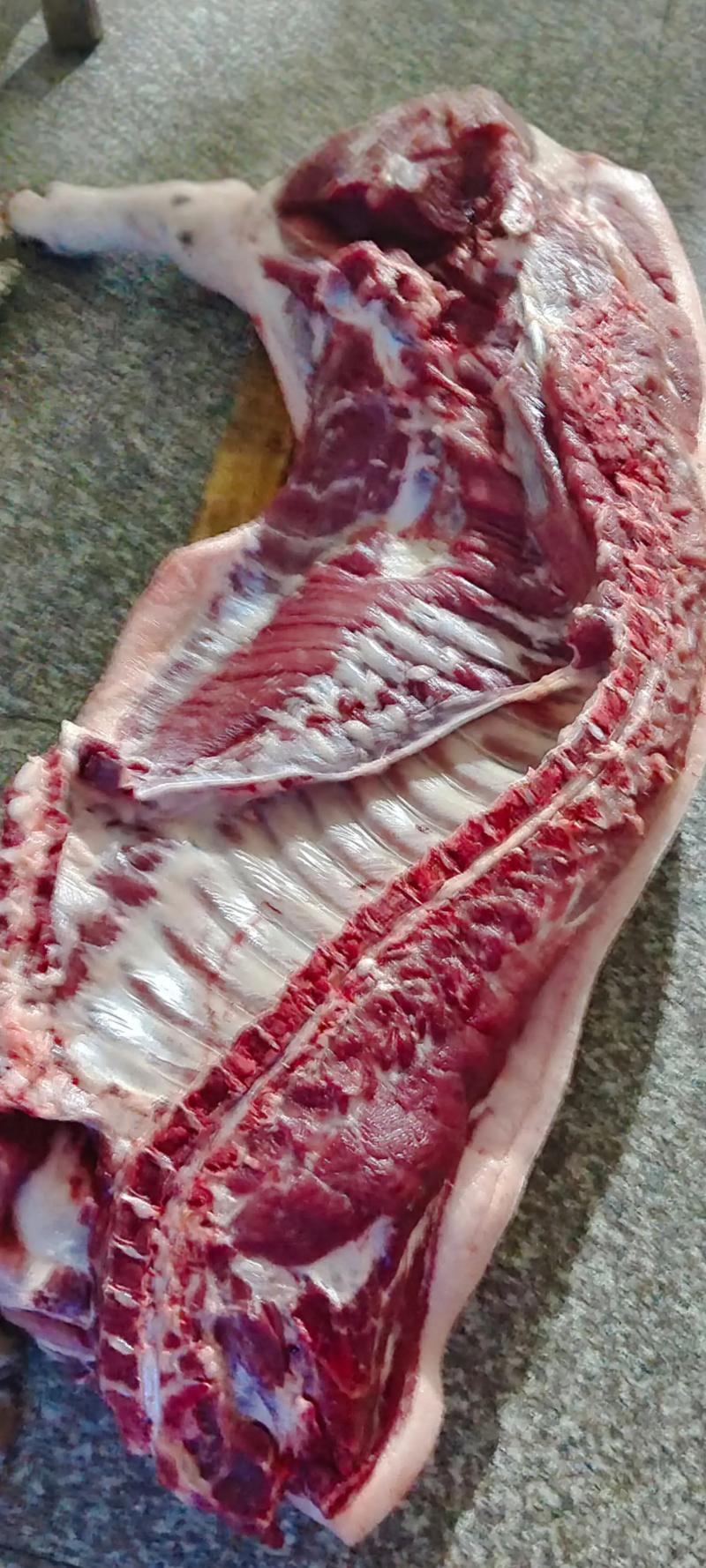 网络肉搏:从虚拟到现实的游戏体验