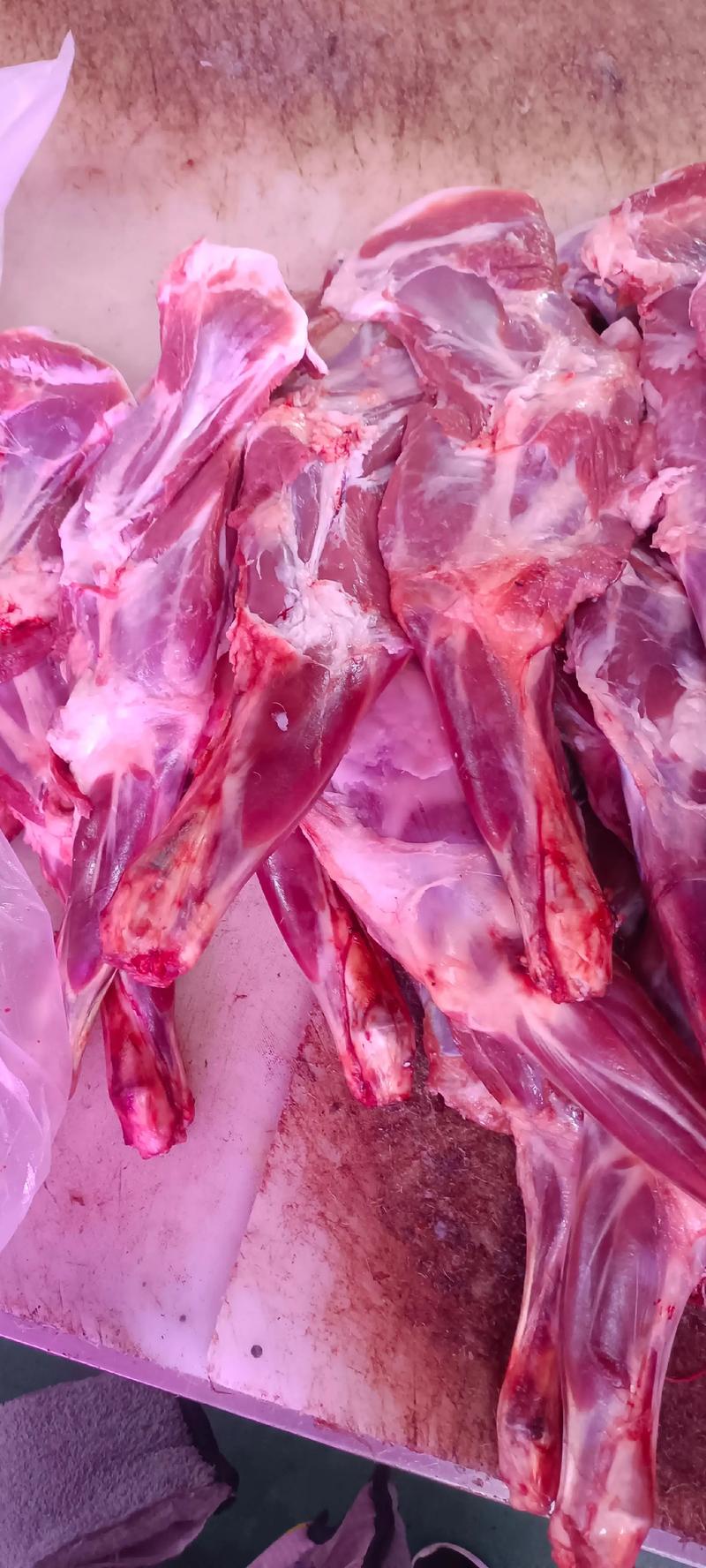 要肉网引领行业变革